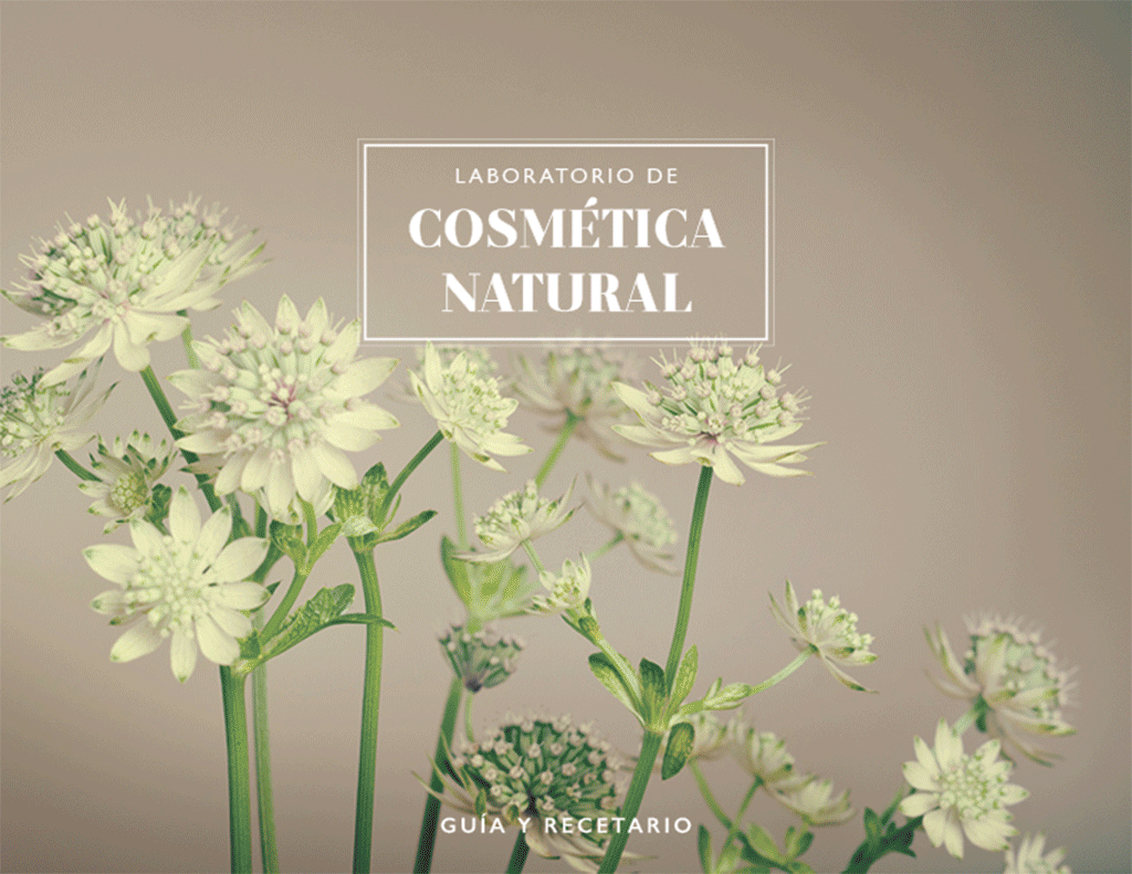 RECETARIO RAYITO DE LUNA