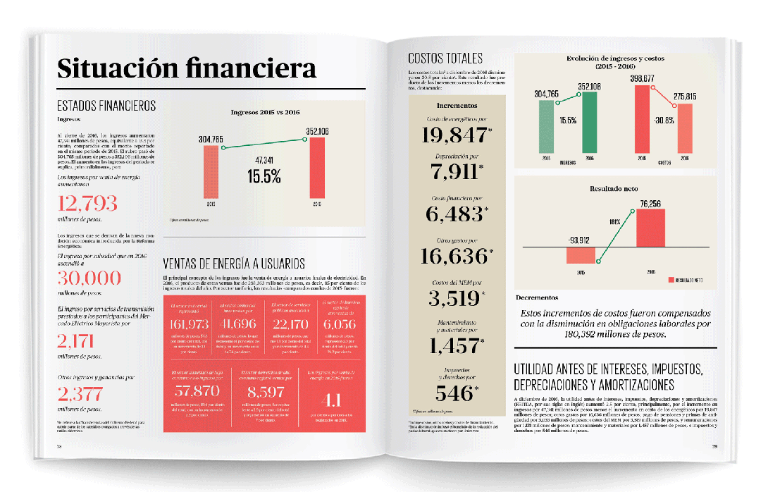 REPORTE CFE 2017